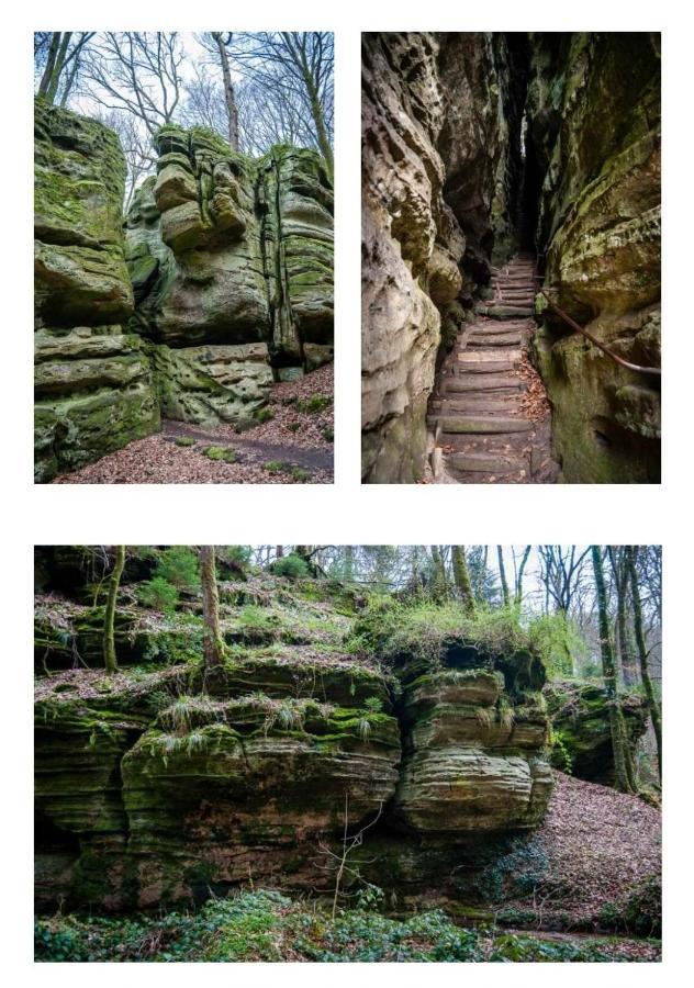 Gite Le Haut Des Vannes Neufchâteau Buitenkant foto